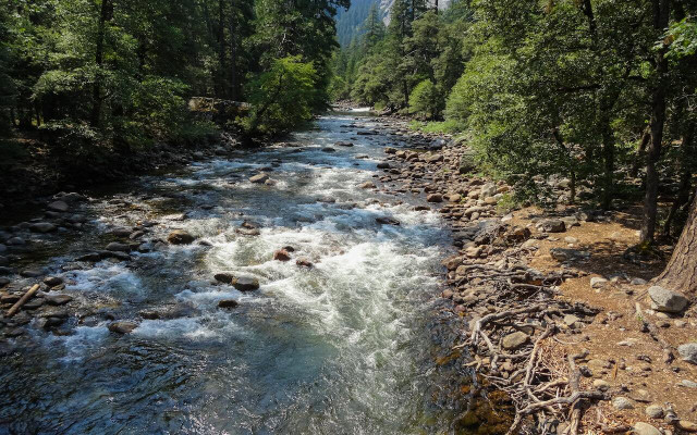 If it gets too hot on the trail, cool yourself off in the river. 