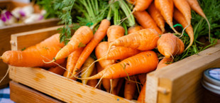 How to Store Carrots Like a Pro storing carrots at home