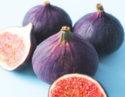 figs not vegan