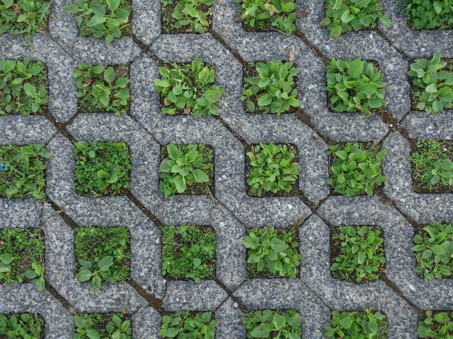 Grasscrete is a sustainable alternative to concrete.