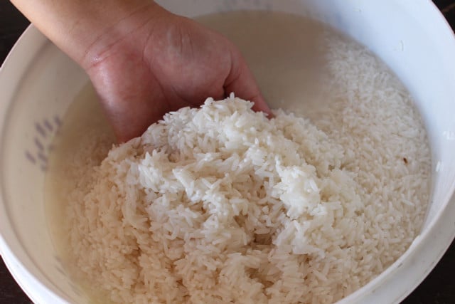 To get rice water for plants, simply wash rice before cooking.
