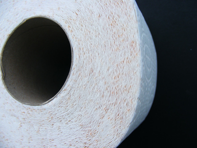 What is toilet paper made of? It's complicated. 