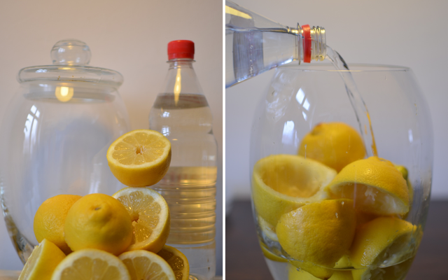 Lemons and Vinegar All-Purpose Cleaner