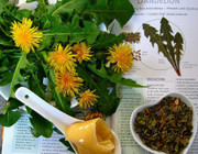 Natural remedies for post nasal drip