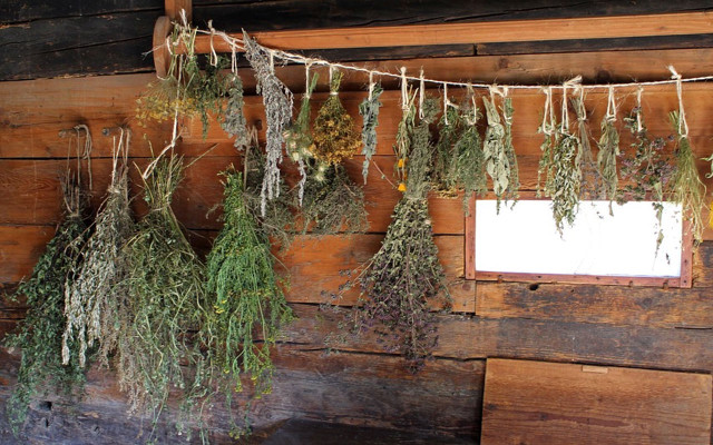 how to dry sage